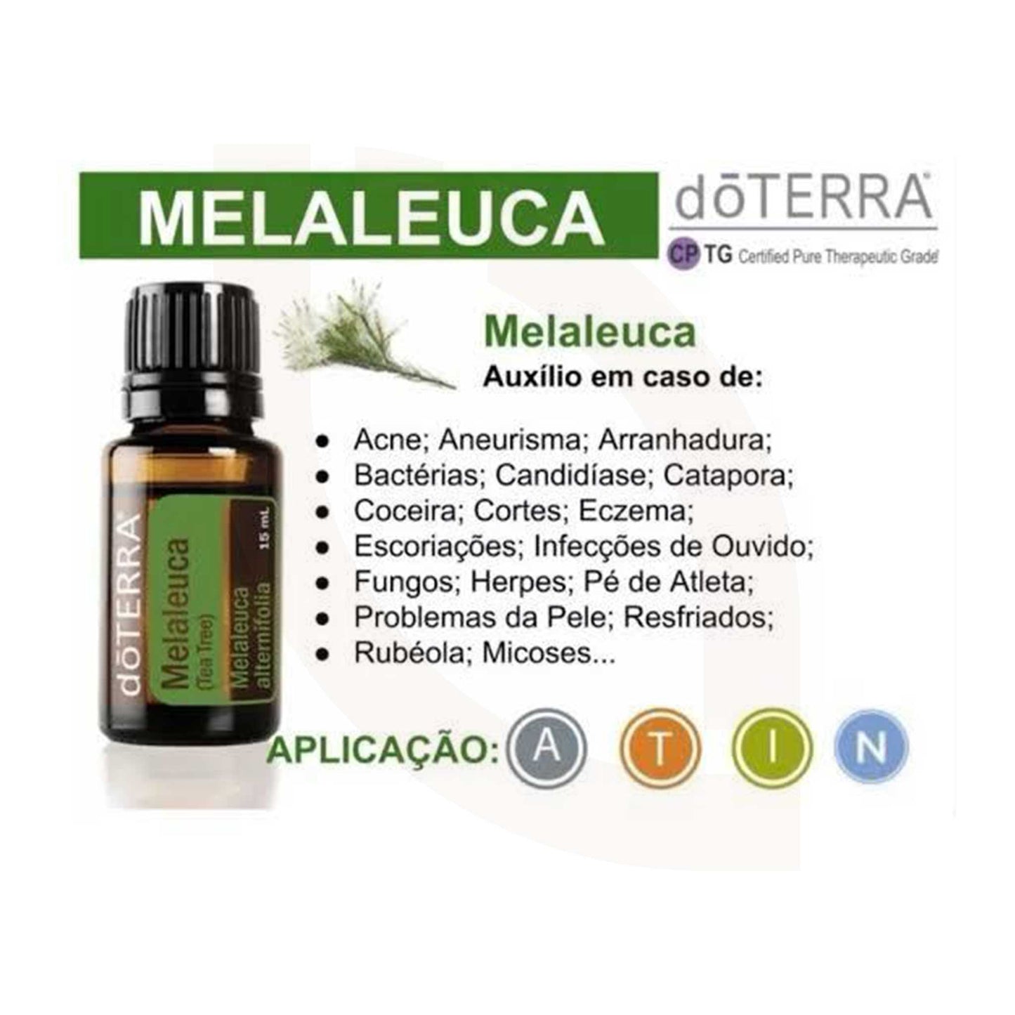 Óleo Essencial - doTerra | Melaleuca